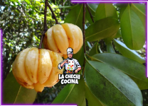 Explorando Los Sabores De La Garcinia Cambogia