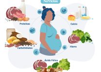 Alimentos Esenciales Para Una Dieta Saludable Durante El Embarazo