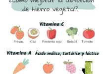 Alimentos Que Aumentan La Absorción De Hierro En El Cuerpo