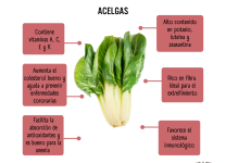 Beneficios De Incorporar Acelgas En Tu Dieta