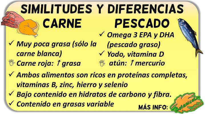 beneficios de la carne de pescado vs carne roja