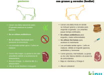 Beneficios De La Carne Orgánica Vs. Convencional