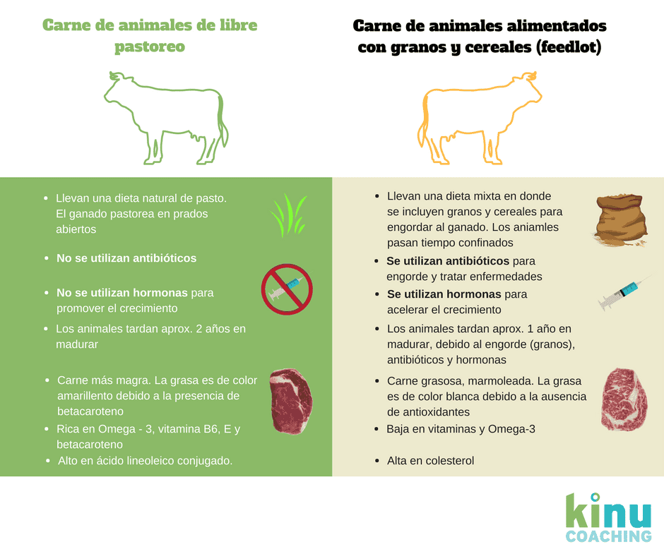 beneficios de la carne organica vs convencional