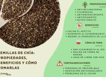 Beneficios De La Chía En Una Dieta Equilibrada