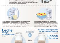 Beneficios De La Cocina Sin Lactosa Para La Salud