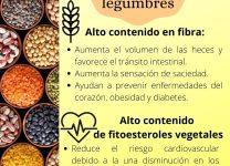 Beneficios De Las Legumbres Para La Salud Digestiva y Cardiovascular