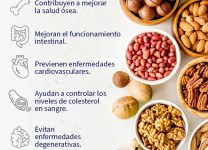 Beneficios De Los Frutos Secos En La Salud Cardiovascular y Cerebral