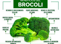 Beneficios Del Brócoli Para La Salud