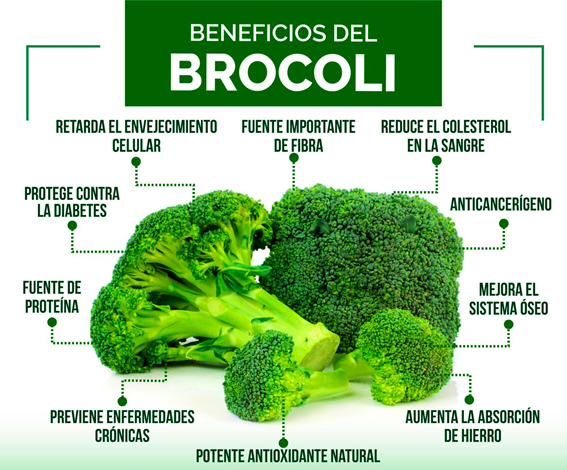 beneficios del brocoli para la salud