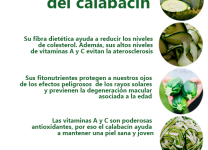 Beneficios Del Consumo De Calabacín