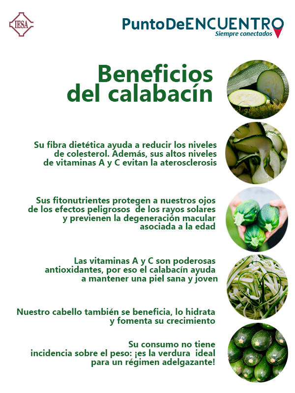 beneficios del consumo de calabacin