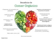 Beneficios Del Consumo De Frutas Orgánicas