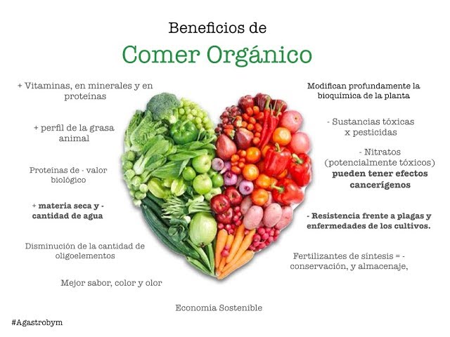 beneficios del consumo de frutas organicas