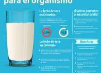 Beneficios Del Consumo De Lácteos En La Dieta Diaria