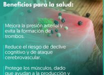 Beneficios Del Consumo Regular De Atún