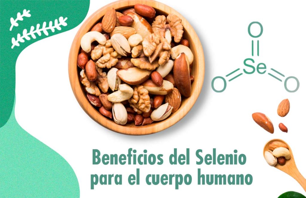 beneficios del selenio en la proteccion contra enfermedades cronicas