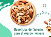 Beneficios Del Selenio En La Protección Contra Enfermedades Crónicas