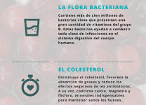 Beneficios Del Yogur Para La Salud Digestiva