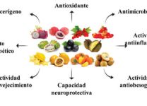 Beneficios Nutricionales De Los Ingredientes Exóticos De Sudamérica