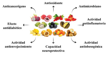 beneficios nutricionales de los ingredientes exoticos de sudamerica