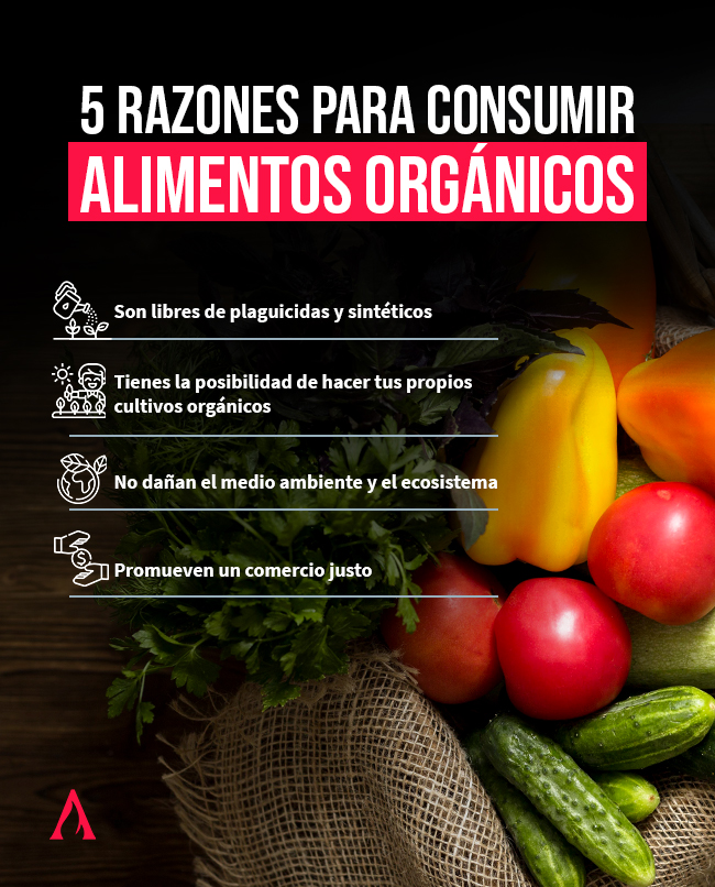 beneficios sorprendentes de los alimentos organicos para tu salud