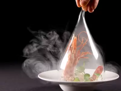 cocina molecular y sabor como crear platos inolvidables