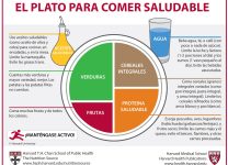 Cómo Crear Un Plan De Alimentación Para Mantenerte Activo Durante El Día