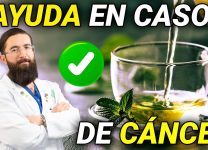 Cómo El Té Verde Ayuda En La Prevención Del Cáncer