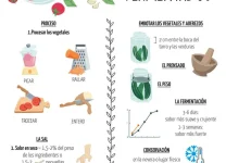 Cómo Fermentar Vegetales En Casa: Una Guía Paso a Paso