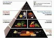 Cómo Identificar Las Porciones Adecuadas Para Cada Grupo Alimenticio