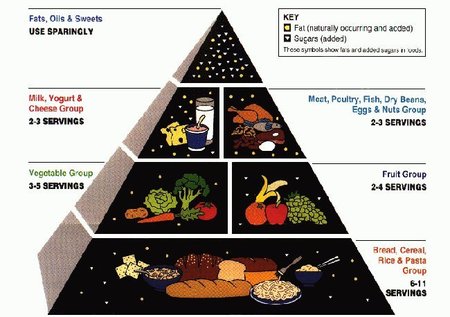 como identificar las porciones adecuadas para cada grupo alimenticio