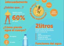 Cómo La Hidratación Adecuada Mejora Tu Energía y Bienestar