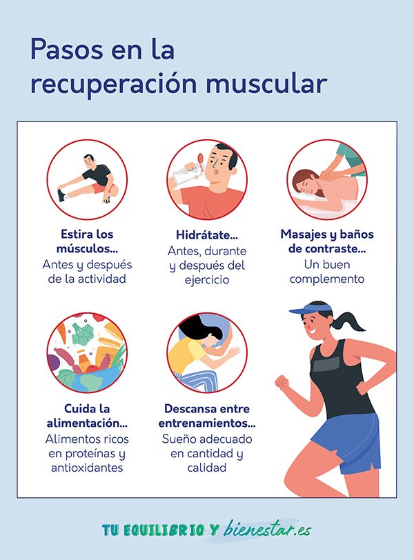 como las proteinas ayudan en la recuperacion muscular despues del ejercicio