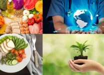 Cómo Los Alimentos Orgánicos Impactan En El Medio Ambiente y Tu Salud