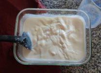 Cómo Preparar Yogur Casero Con Probióticos