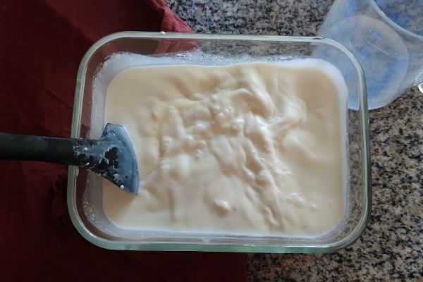 como preparar yogur casero con probioticos