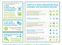 Cómo Una Buena Alimentación Mejora El Microbioma Intestinal