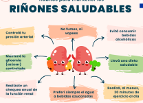 Cómo Una Buena Alimentación Protege Los Riñones