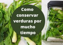 Consejos Para Almacenar Espinacas Frescas