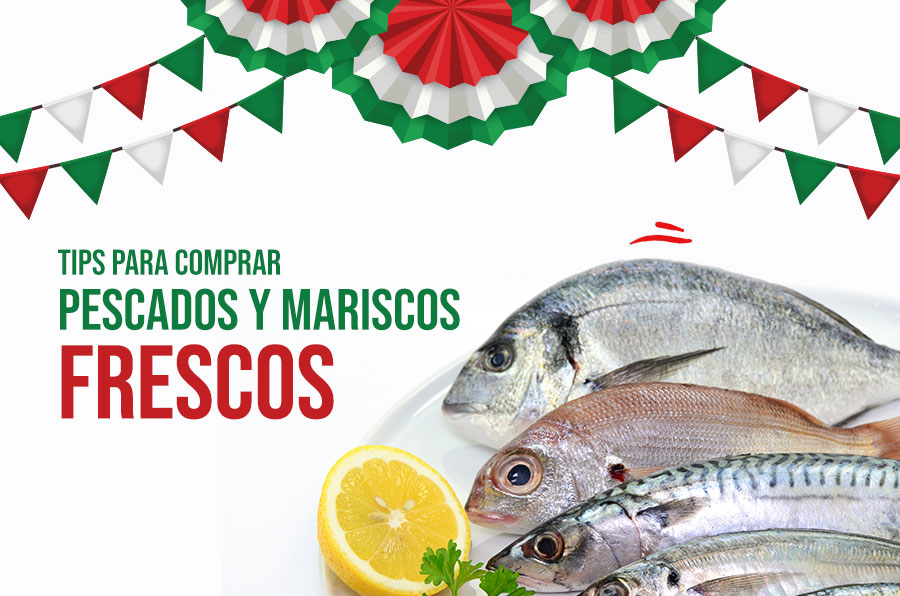 consejos para comprar mariscos en la playa o en el puerto