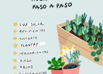 Consejos Para Cultivar Hierbas y Verduras En Espacios Pequeños