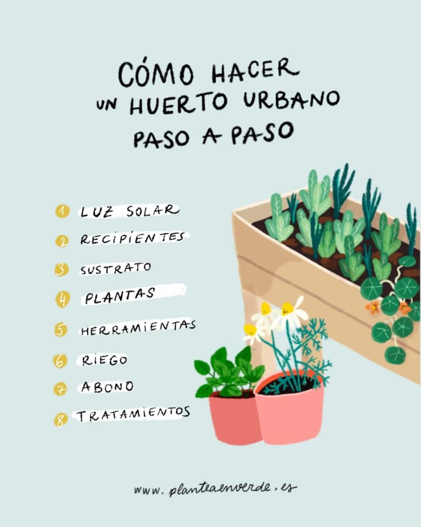 consejos para cultivar hierbas y verduras en espacios pequenos