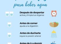 Consejos Para Mantenerse Hidratado Durante Todo El Día