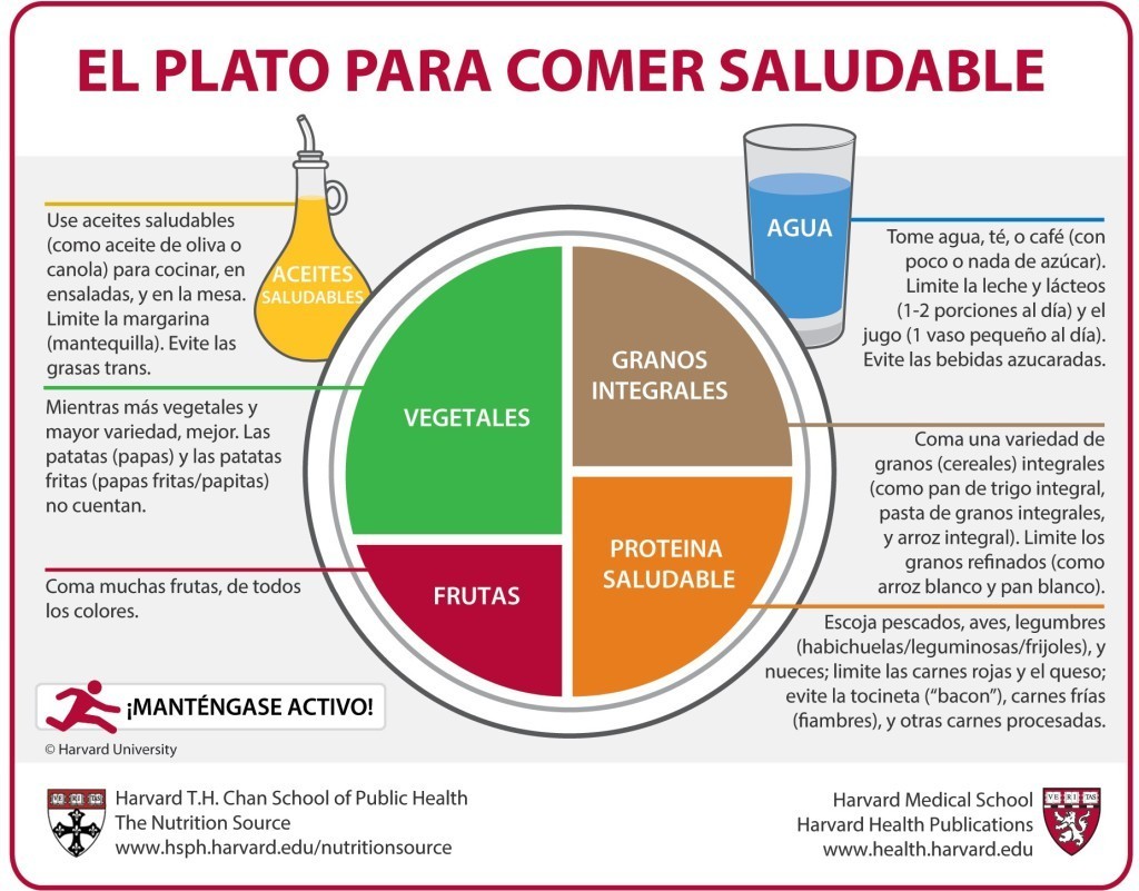 consejos para que toda la familia coma de forma equilibrada