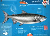 Conservación De Mariscos En La Nevera: Lo Que Debes Saber