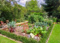 Cultivo De Verduras De Raíz En Tu Propio Jardín