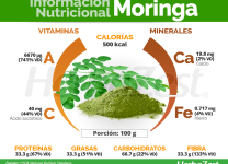 Descubre La Moringa y Sus Beneficios Nutricionales