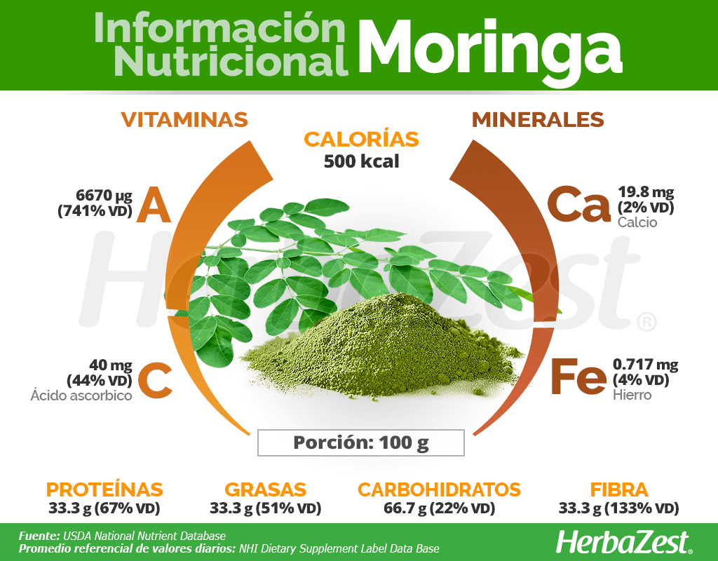 descubre la moringa y sus beneficios nutricionales