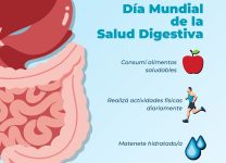 Dieta Equilibrada Para Mantener Un Sistema Digestivo Saludable