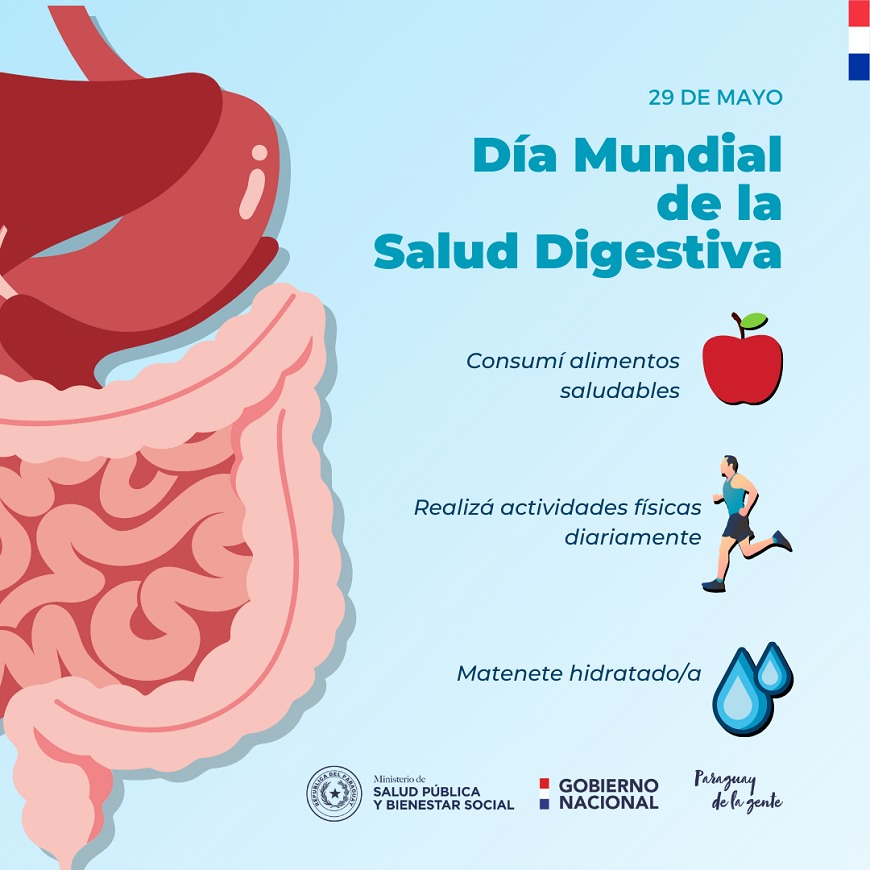 dieta equilibrada para mantener un sistema digestivo saludable